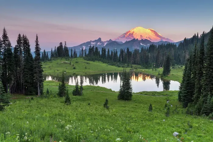 Framed Print : View of Lower Tipsoo Lake and Mt Rainier, Nationalpark Mt. Rainier, North West, Washington State, USA Framed Print : View of Lower Tipsoo Lake and Mt Rainier, Nationalpark Mt. Rainier, North West, Washington State, USA