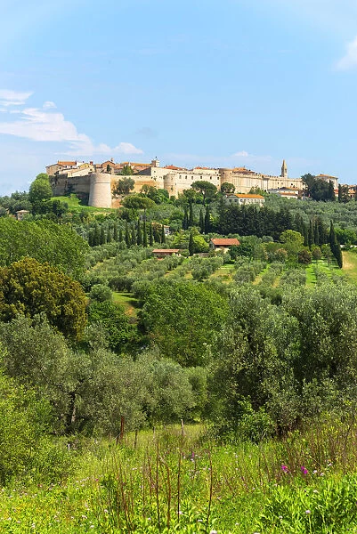 View at Magliano in Tuscany, Grosseto, Maremma, Tuscany, Italy