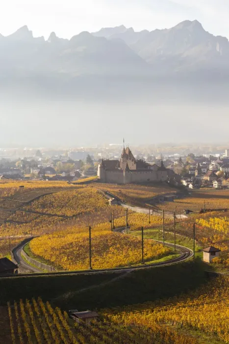 Framed Print : View of the medieval Aigle castle and the surrounding vineyards and railway in autumn