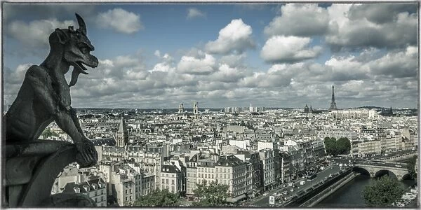View from the Notre Dame Cathedral, Paris, France