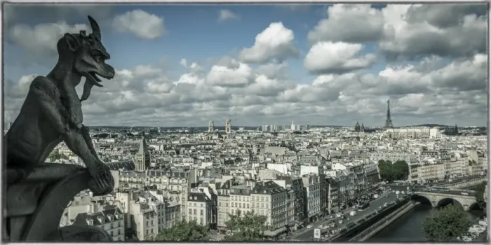 Framed Print : View from the Notre Dame Cathedral, Paris, France Framed Print : View from the Notre Dame Cathedral, Paris, France