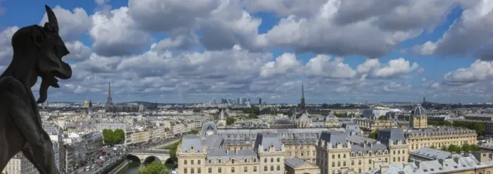Framed Print : View from the Notre Dame Cathedral, Paris, France Framed Print : View from the Notre Dame Cathedral, Paris, France