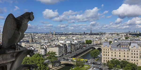 View from the Notre Dame Cathedral, Paris, France
