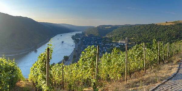 View of Oberwesel and River Rhine, Oberwesel, Rhineland-Palatinate, Germany