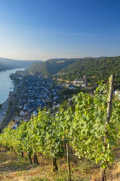View of Oberwesel and River Rhine, Rhineland-Palatinate, Germany