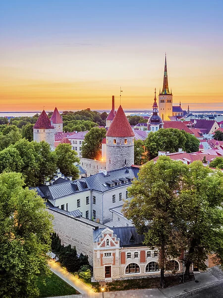 View over the Old Town towards St Olafs Church at dawn, Tallinn, Estonia