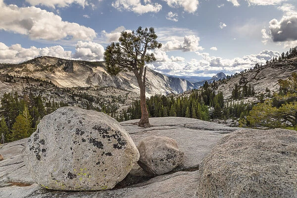 View from Olmsted Point to Half Dome, Yosemite National Park, California, USA