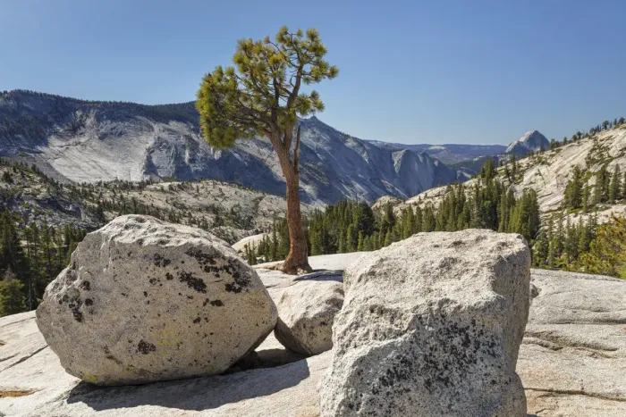 Framed Print : View from Olmsted Point to Half Dome, Yosemite National Park, California, USA Framed Print : View from Olmsted Point to Half Dome, Yosemite National Park, California, USA