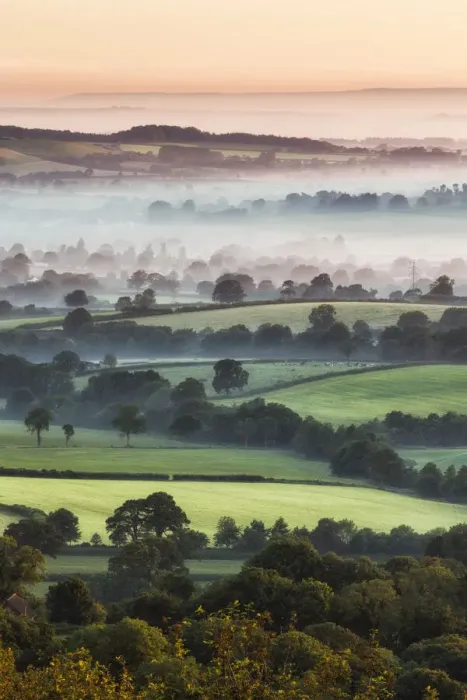 Framed Print : View from Pilsdon Pen, Dorset, England Framed Print : View from Pilsdon Pen, Dorset, England