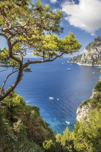 View to Punta de Masullo, Capri Island, Gulf of Naples, Campania, Italy