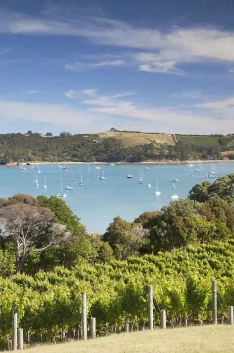 Framed Print : View of Putiki Bay from Goldie Room Vineyard and Restaurant, Waiheke Island, Auckland