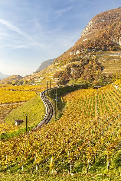 View of the railway and the surrounding vineyards of Aigle castle in autumn