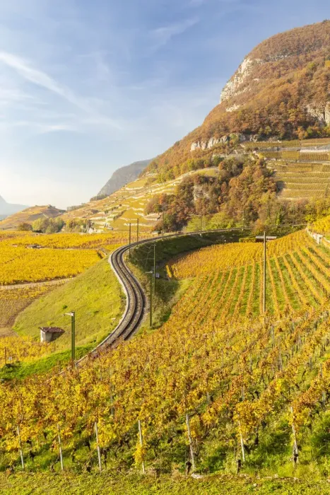 Framed Print : View of the railway and the surrounding vineyards of Aigle castle in autumn Framed Print : View of the railway and the surrounding vineyards of Aigle castle in autumn