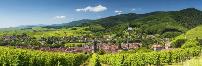Framed Print : View above Ribeauville, Alsace, France Framed Print : View above Ribeauville, Alsace, France