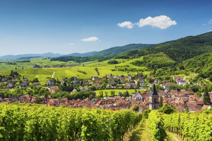 Framed Print : View above Ribeauville, Alsace, France