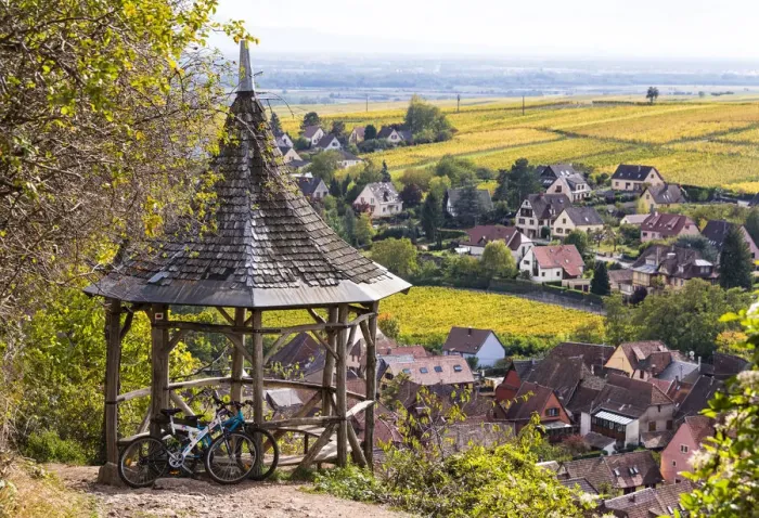 Framed Print : A view towards Ribeauville and the vineyards, Alsatian Wine Route, France Framed Print : A view towards Ribeauville and the vineyards, Alsatian Wine Route, France