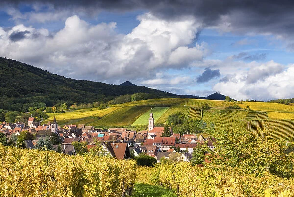 View over Riquewihr, Alsace, France