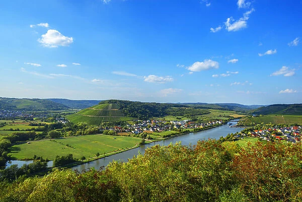 View at river Saar with Ayler Kupp vineyard, Rhineland-Palatinate, Germany