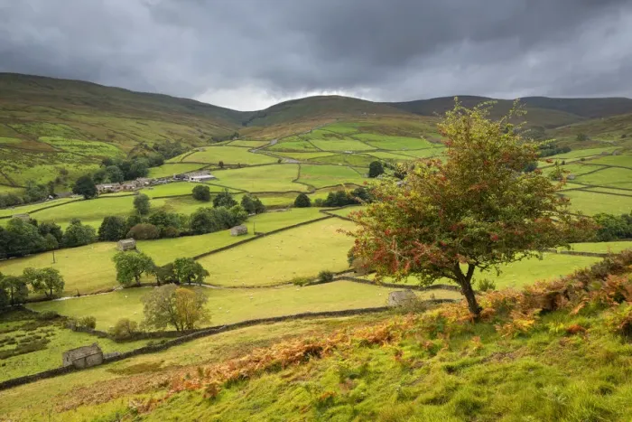 Framed Print : View over rolling countryside in Swaledale, Yorkshire Dales National Park Framed Print : View over rolling countryside in Swaledale, Yorkshire Dales National Park