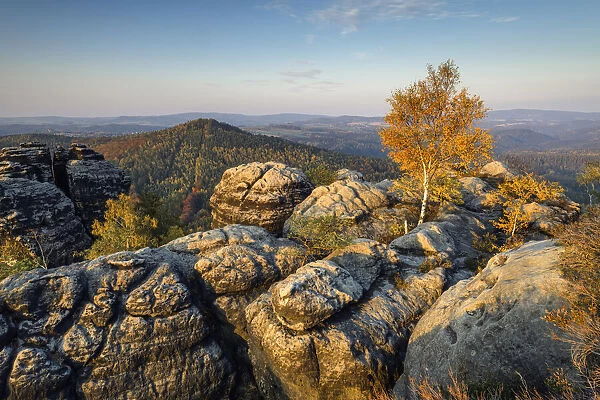 View of the Schrammstein rocks in the Elbe Sandstone Mountains