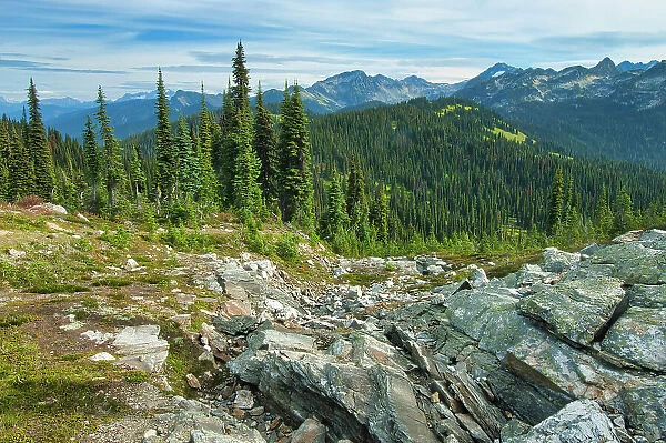 View of the Selkirk Range of the Columbia Mountains from the summit of Mount Revelstoke. Mount Revelstoke National Park, British Columbia, Canada