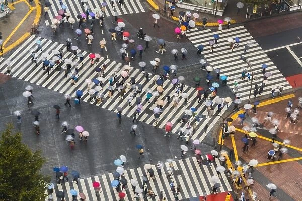 View of Shibuya Crossing, one of the busiest crossings in the world, Tokyo, Japan