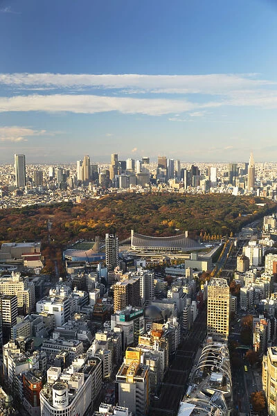 View of Shinjuku skyline and downtown, Tokyo, Japan