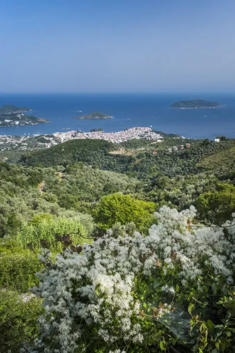 Framed Print : View over Skiathos Town, Skiathos, Sporade Islands, Greece Framed Print : View over Skiathos Town, Skiathos, Sporade Islands, Greece