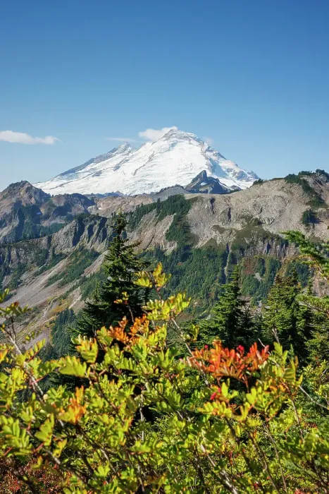Framed Print : View of the snow capped Mount Baker with beautiful autumn foliage in North Cascades National Park, Washington, USA Framed Print : View of the snow capped Mount Baker with beautiful autumn foliage in North Cascades National Park, Washington, USA