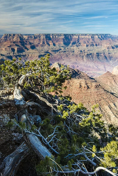 Top view of south rim from Desert View, Grand Canyon National Park, Arizona, USA