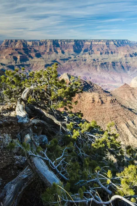 Framed Print : Top view of south rim from Desert View, Grand Canyon National Park, Arizona, USA Framed Print : Top view of south rim from Desert View, Grand Canyon National Park, Arizona, USA