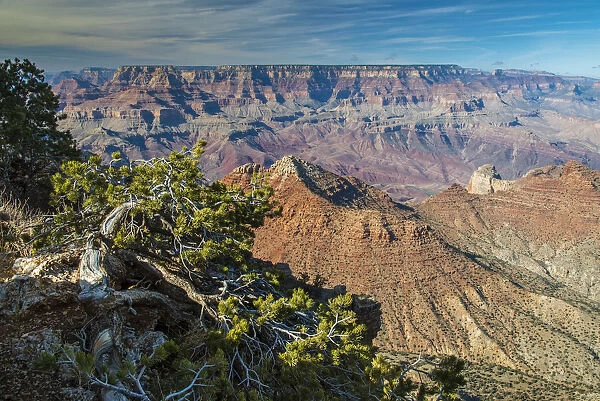 Top view of south rim, Grand Canyon National Park, Arizona, USA
