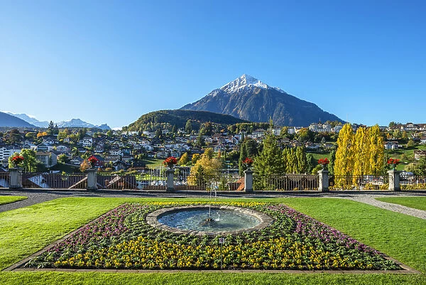View from the Spiez palace gardens on Spiez and Niesen mountain, Berner Oberland