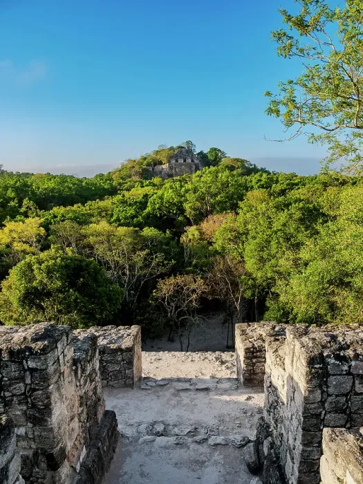 Framed Print : View from Structure VII towards Structure II, Calakmul Archaeological Site, Campeche State, Mexico Framed Print : View from Structure VII towards Structure II, Calakmul Archaeological Site, Campeche State, Mexico