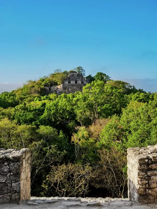 Framed Print : View from Structure VII towards Structure II, Calakmul Archaeological Site, Campeche State, Mexico Framed Print : View from Structure VII towards Structure II, Calakmul Archaeological Site, Campeche State, Mexico