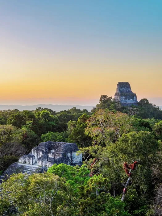 Framed Print : View over Talud-Tablero Temple or Structure 5C-49 towards Temple IV at dusk, Mundo Perdido, Tikal, Peten Department, Guatemala Framed Print : View over Talud-Tablero Temple or Structure 5C-49 towards Temple IV at dusk, Mundo Perdido, Tikal, Peten Department, Guatemala