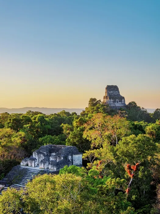Framed Print : View over Talud-Tablero Temple or Structure 5C-49 towards Temple IV at sunset, Mundo Perdido, Tikal, Peten Department, Guatemala Framed Print : View over Talud-Tablero Temple or Structure 5C-49 towards Temple IV at sunset, Mundo Perdido, Tikal, Peten Department, Guatemala