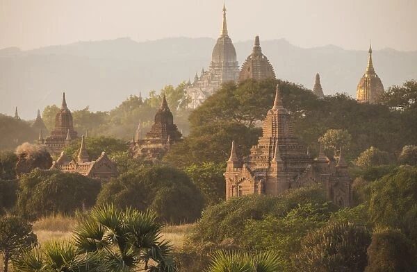 View of Temples at dusk, Bagan, Mandalay Region, Myanmar