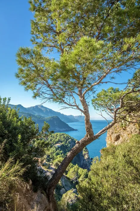 Framed Print : View from the Torre del Verger to the coast, Banyalbufar, Serra de Tramuntana, Mallorca, Balearic Islands, Spain