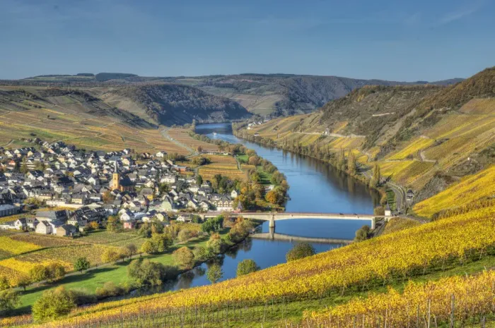 Framed Print : View at Trittenheim with river Mosel at fall, Rhineland-Palatine, Germany Framed Print : View at Trittenheim with river Mosel at fall, Rhineland-Palatine, Germany