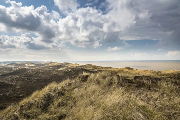 Framed Print : View from the Uwe dune to the west beach of Kampen, Sylt, Schleswig-Holstein, Germany