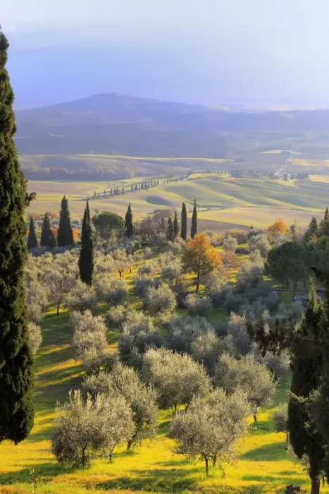 Framed Print : View of Val d Orcia (Valdorcia), Pienza, Tuscany, Italy Framed Print : View of Val d Orcia (Valdorcia), Pienza, Tuscany, Italy