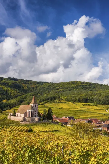 Framed Print : View over Village of Hunawihr, Alsace, France Framed Print : View over Village of Hunawihr, Alsace, France