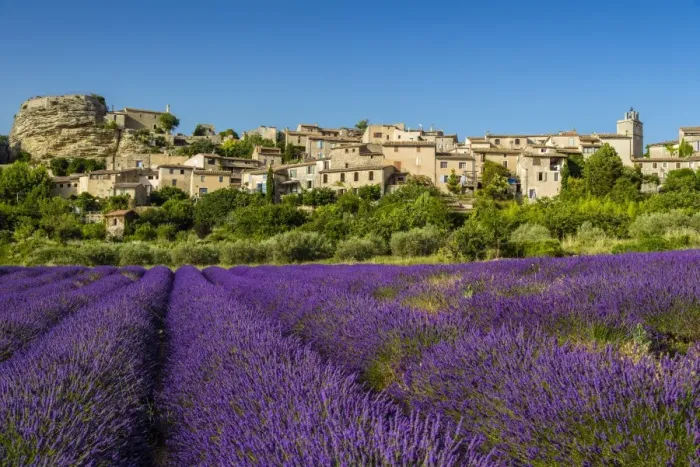 Framed Print : View of village of Saignon with field of lavander in bloom, Provence, France Framed Print : View of village of Saignon with field of lavander in bloom, Provence, France