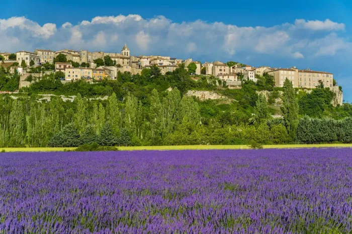Framed Print : View of village of Sault with field of lavander in bloom, Vaucluse, Provence, France Framed Print : View of village of Sault with field of lavander in bloom, Vaucluse, Provence, France