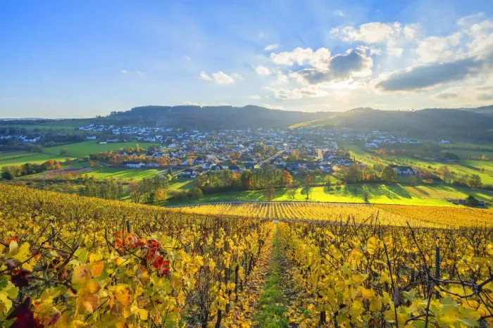 Framed Print : View from the vineyard Ayler Kupp at the sunset above Ayl, Saar valley, Hunsruck, Rhineland-Palatinate, Germany Framed Print : View from the vineyard Ayler Kupp at the sunset above Ayl, Saar valley, Hunsruck, Rhineland-Palatinate, Germany