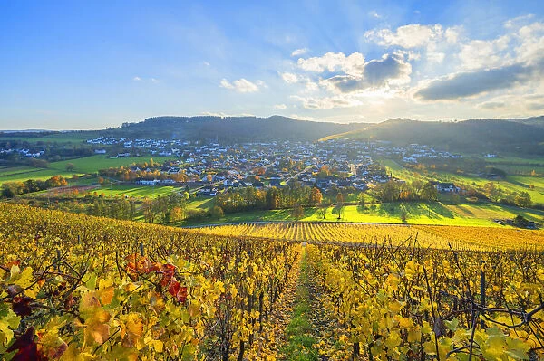View from the vineyard Ayler Kupp at the sunset above Ayl, Saar valley, Hunsruck, Rhineland-Palatinate, Germany