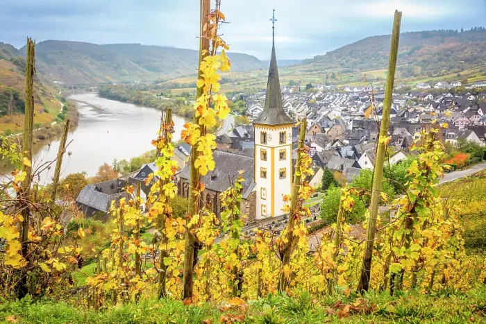 Framed Print : View from the vineyards of the Calmont vineyard to the town of Bremm on the Moselle with the church of St. Laurentius, Bremm, Moselle, Rhineland-Palatinate, Germany Framed Print : View from the vineyards of the Calmont vineyard to the town of Bremm on the Moselle with the church of St. Laurentius, Bremm, Moselle, Rhineland-Palatinate, Germany