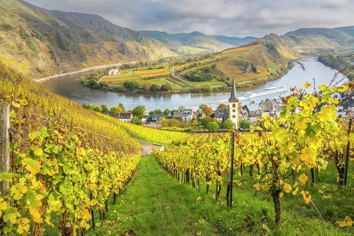 Framed Print : View from the vineyards of the Calmont vineyard to the town of Bremm on the Moselle with the church of St. Laurentius, Bremm, Moselle, Rhineland-Palatinate, Germany Framed Print : View from the vineyards of the Calmont vineyard to the town of Bremm on the Moselle with the church of St. Laurentius, Bremm, Moselle, Rhineland-Palatinate, Germany