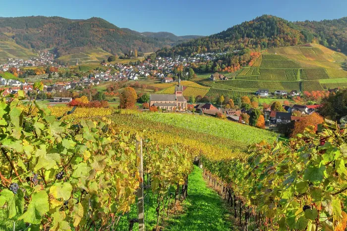 Framed Print : View over vineyards to Kappelrodeck in autumn, Black Forest, Baden-Wurttemberg, Germany